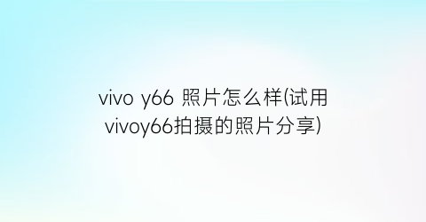 “vivoy66照片怎么样(试用vivoy66拍摄的照片分享)